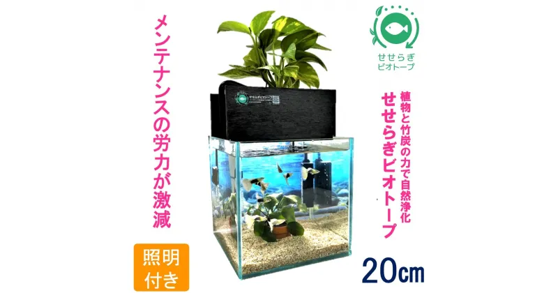 【ふるさと納税】水槽セット　せせらぎビオトープ　20cm型照明　植物　魚　(黒・グレー）