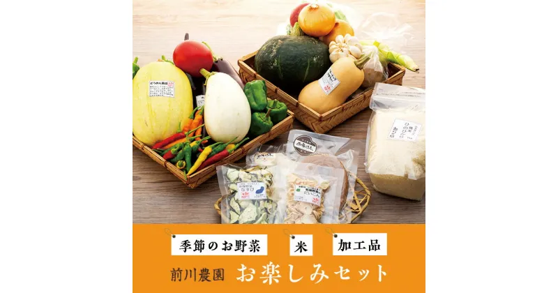 【ふるさと納税】前川農園の季節のお野菜、米、加工品、お楽しみセット