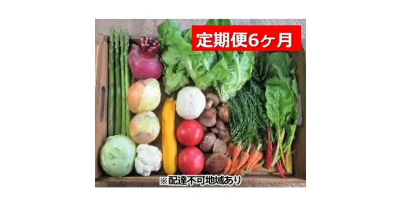 【ふるさと納税】旬の野菜・定期便（6か月）【配達不可：北海道・沖縄・離島】　定期便・野菜・セット・詰合せ・6ヶ月・6回