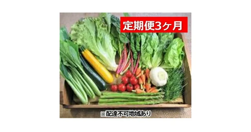 【ふるさと納税】旬の野菜・定期便（3か月）【配達不可：北海道・沖縄・離島】　定期便・野菜・セット・詰合せ・3カ月・3回