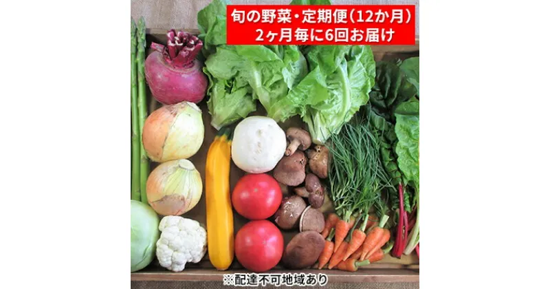 【ふるさと納税】【2ヶ月毎に6回お届け】 旬の野菜・定期便（12か月）　定期便・ セット 詰め合わせ 季節 季節の野菜 有機質 肥料 農薬 減農薬 不使用 和野菜 西洋野菜 山菜 果物 冷蔵便 鮮度 お楽しみ