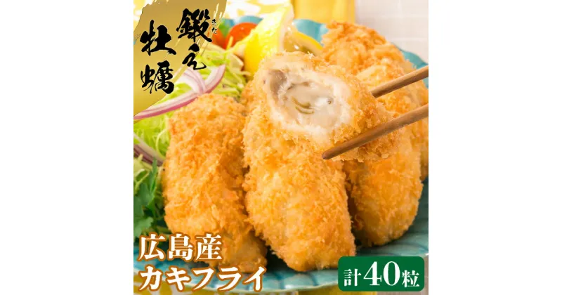 【ふるさと納税】牡蠣 冷凍 かき カキ カキフライ テレビで話題！ 広島県産 鍛え牡蠣 冷凍かきフライ 20粒×2袋人気 簡単 レシピ ギフト カキフライ 江田島市/有限会社寺本水産[XAE016]