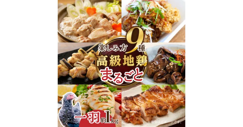 【ふるさと納税】うまさが違う！ せとうち育ちの江田島産地鶏 一黒シャモ一羽パック(合計約1kg) 鶏 人気 肉 グルメ ギフト 取り寄せ プレゼント 広島県産 江田島市/ポーク＆チキン江田島[XAH003]