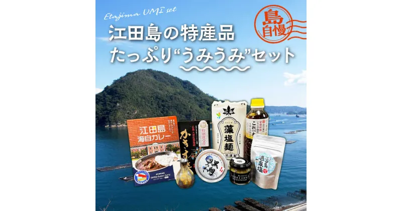 【ふるさと納税】島で自慢の特産品をセットでお届け！ 江田島の恵みたっぷりうみうみセット 花入れ 麺 カレー みそ 人気 簡単 レシピ ギフト 広島県産 江田島市/江田島市観光協会[XAI002]