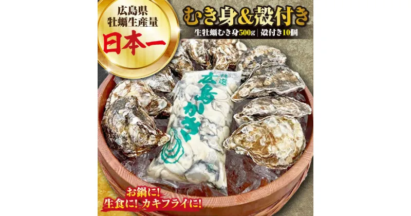 【ふるさと納税】牡蠣 生食 むき身 殻付き かき カキ 大粒でぷりっぷり！ 【生牡蠣】【着日指定可能】【1月発送】かきうちの 牡蠣 むき身 500g＆殻付き 10個 かき 海鮮 和食 新鮮 簡単 レシピ 広島県産 江田島市/株式会社かきうち[XBK004]