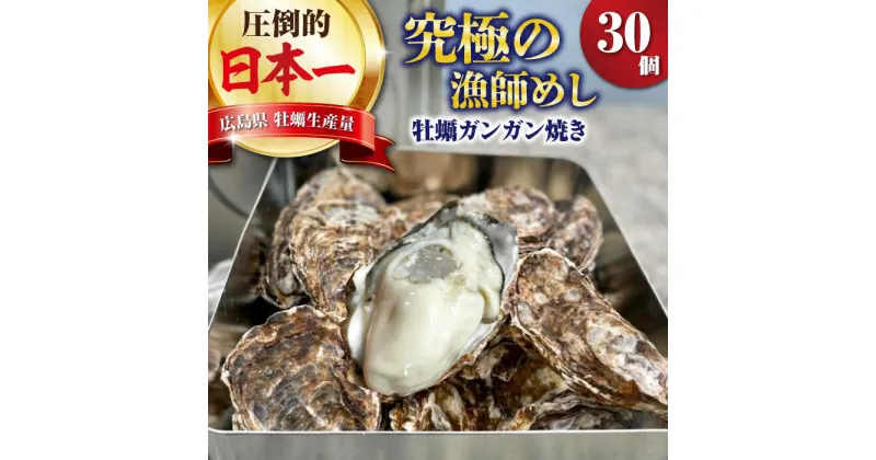 【ふるさと納税】牡蠣 生食 殻付き かき カキ 簡単なのにぶちうまい！【生牡蠣】【着日指定可能】【12月発送】【1月発送】究極の漁師めし！かきうちの殻付き牡蠣ガンガン焼き 30個 かき 海鮮 和食 海産物簡単 レシピ 広島県産 江田島市/株式会社かきうち[XBK007]