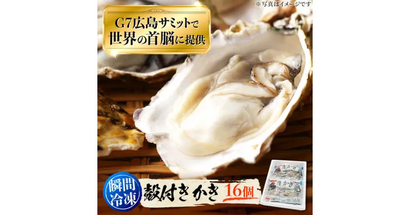 【ふるさと納税】牡蠣 冷凍 殻付き かき カキ 広島G7で提供された牡蠣！ 【発送開始！】殻付き 牡蠣 16個（瞬間冷凍） かき 海鮮 和食 海産物 簡単 レシピ 広島県産 江田島市/マルサ・やながわ水産有限会社 [XBL004]