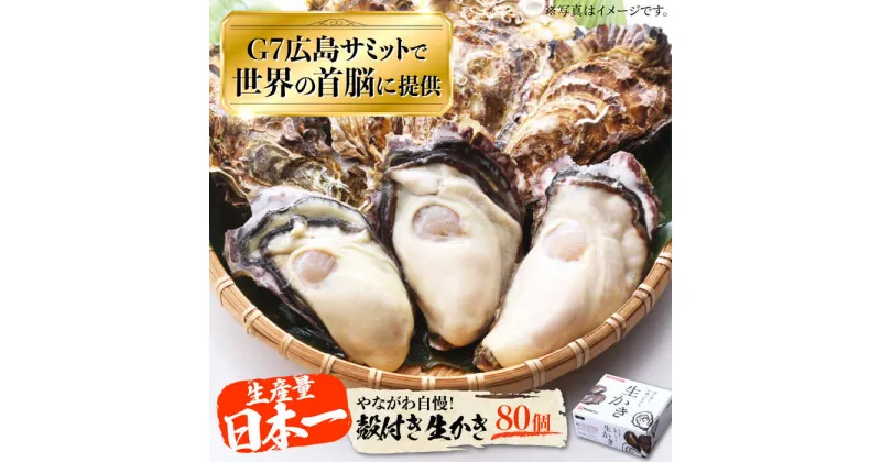 【ふるさと納税】牡蠣 生食 殻付き かき カキ 広島G7で提供された牡蠣！ 【着日指定可能】やながわ自慢！殻付き 牡蠣 80個（約10kg） かき 海鮮 和食 海産物 簡単 レシピ 広島県産 江田島市 /マルサ・やながわ水産有限会社[XBL008]