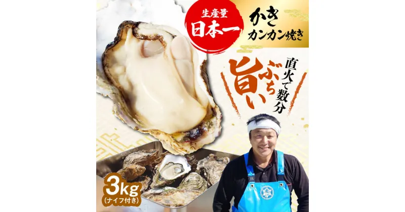 【ふるさと納税】牡蠣 殻付き かき カキ 着日指定可能！ 【生牡蠣】カンカン焼き（ナイフ付き）3kg 人気 かき 広島 料理 簡単 レシピ 海鮮 ギフト 広島県産 江田島市/株式会社門林水産[XAO012]