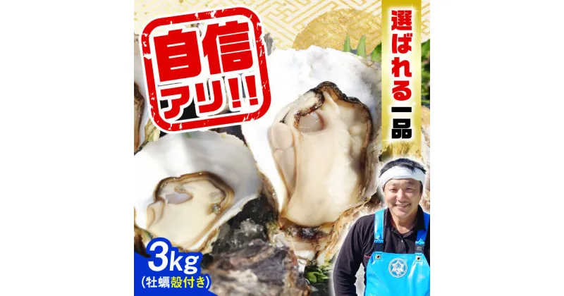 【ふるさと納税】牡蠣 殻付き かき カキ 特選 牡蠣三昧！ 【生牡蠣】広島牡蠣　殻付き3kg 人気 かき 広島 料理 簡単 レシピ 海鮮 ギフト 広島県産 江田島市/株式会社門林水産[XAO009]