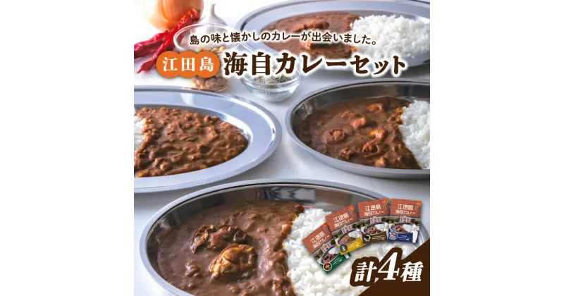 【ふるさと納税】ご当地カレー！ 海上自衛隊公認！江田島海自カレー 4種 (計4個) シーフード キーマ ポーク オイスター カレー かれー レトルト食品 保存食 簡単 レシピ 広島県産 江田島市/江田島商工会(e’s)[XBS011]