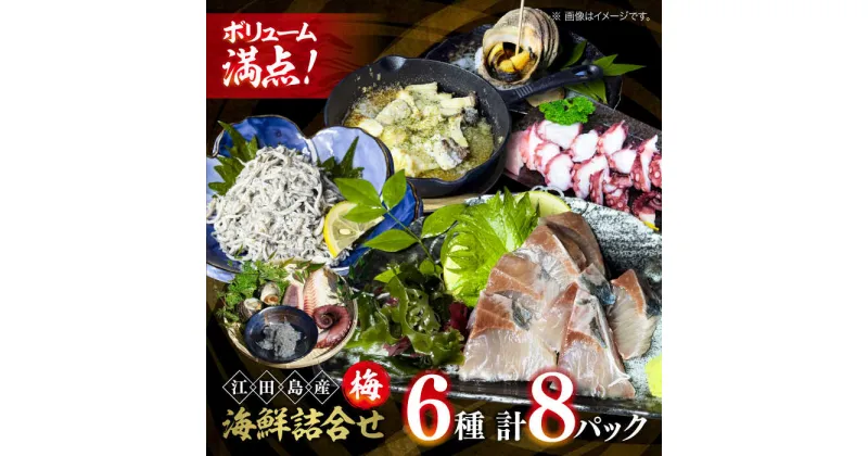 【ふるさと納税】新鮮なお魚盛りだくさん！海鮮詰合せ「梅」 料理 和食 簡単 レシピ 魚介類 海産物 海鮮 刺身 ギフト お取り寄せ 江田島市/七宝丸[XBY001]