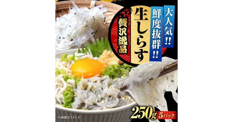 【ふるさと納税】しらす 冷凍 シラス 小分け 干し 生しらすのプリッした食感と塩味が抜群！生しらす50gX5個 冷凍 シラス しらす 魚介類 鮮魚 ギフト 海鮮丼 広島県産 江田島市/三島水産株式会社[XCN002]