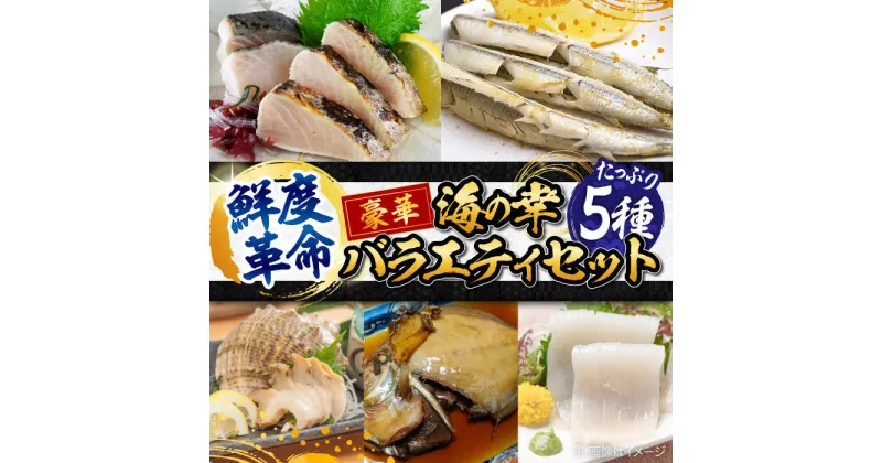 【ふるさと納税】【鮮度革命】 こだわり冷凍保存！豪華海の幸バラエティ5種セット 魚 料理 和食 簡単 レシピ 魚介類 海産物 海鮮 刺身 ギフト 江田島市/秋宝丸[XCK004]