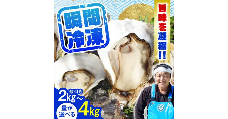 【ふるさと納税】牡蠣 冷凍 殻付き かき カキ 特選 牡蠣三昧！【瞬間冷凍】広島牡蠣 殻付き カキ かき 広島 料理 簡単 魚介類 海鮮 ギフト 広島県産 江田島市/株式会社門林水産[XAO029]