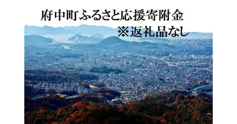 【ふるさと納税】001 （返礼品なし）広島県府中町ふるさと応援寄附金