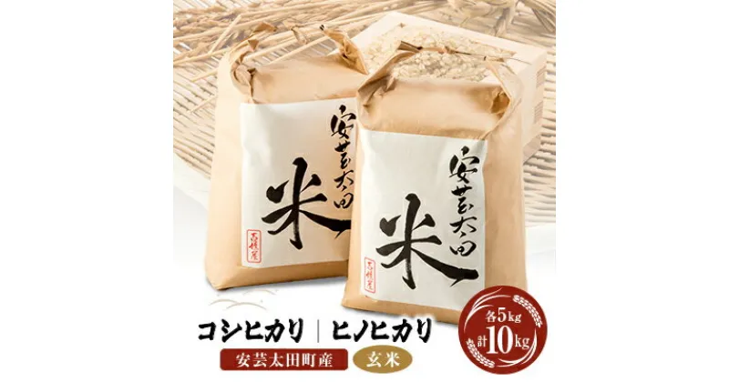 【ふるさと納税】【令和6年産】コシヒカリ・ヒノヒカリ玄米食べ比べセット　計10kg【1282311】