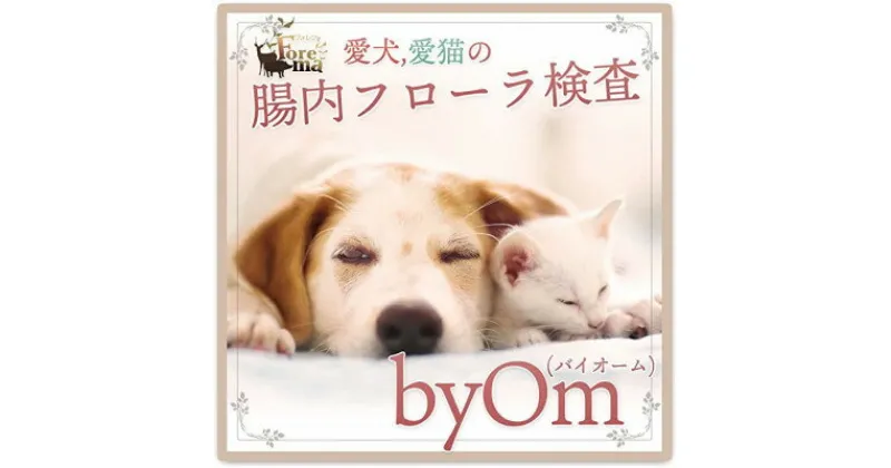 【ふるさと納税】愛犬/愛猫の腸内フローラ解析「byOm(バイオーム)」【1301545】