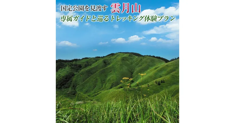 【ふるさと納税】国定公園を見渡す『雲月山』専属ガイドと巡るトレッキング体験プラン