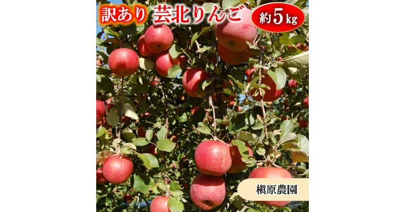 【ふるさと納税】りんご 訳あり ご家庭用 約5kg 槇原農園の芸北りんご 農家直送 シナノスイート ぐんま名月 シナノゴールド ふじ