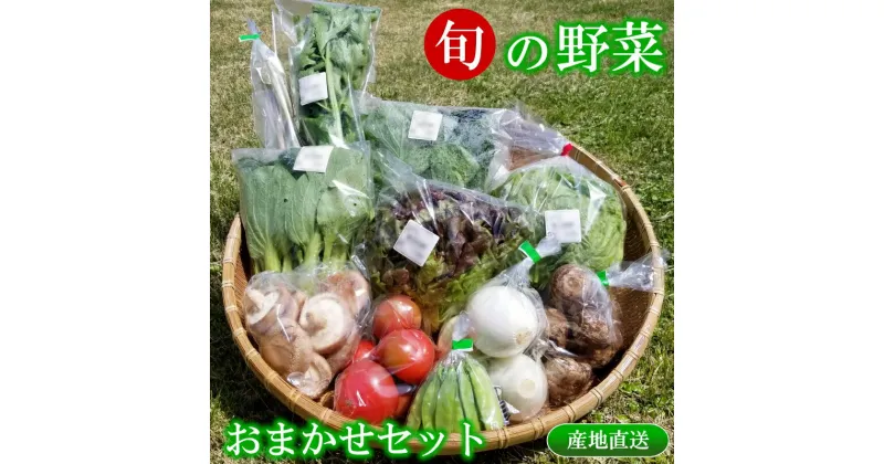 【ふるさと納税】旬の野菜おまかせセット