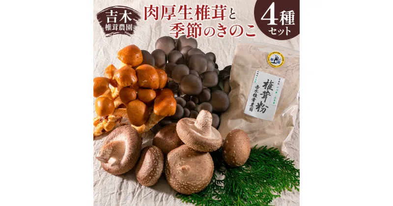 【ふるさと納税】吉木椎茸農園　肉厚生椎茸と季節のきのこセット