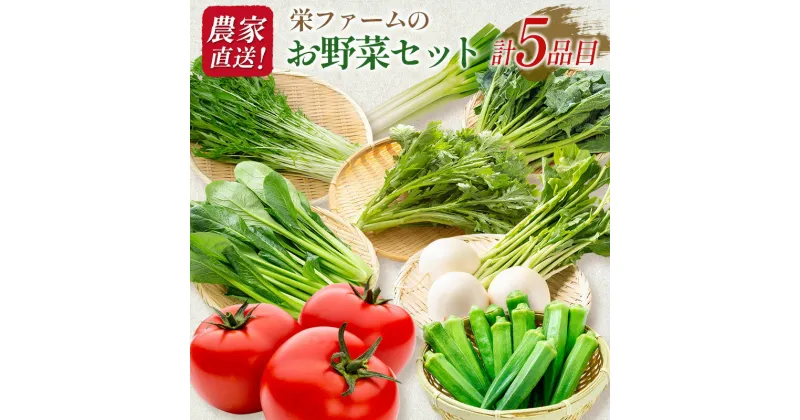 【ふるさと納税】農家直送！栄ファームのお野菜セット