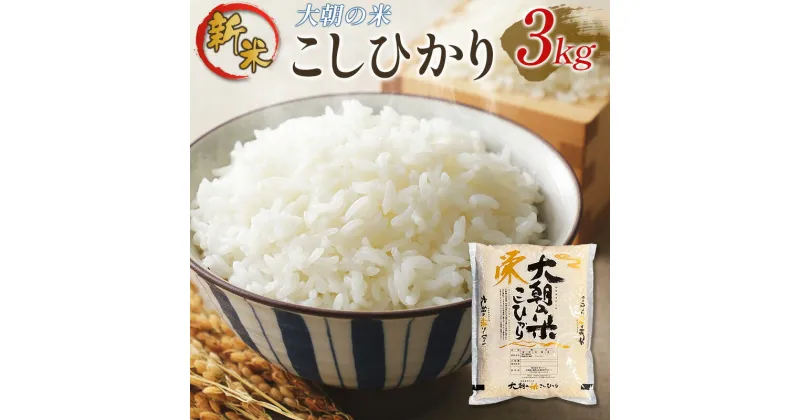 【ふるさと納税】栄ファーム 大朝の米こしひかり　精米3kg