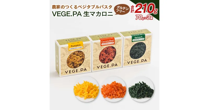 【ふるさと納税】農家のつくるベジタブルパスタ VEGE.PA 生マカロニ3種セット