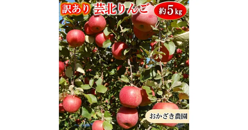 【ふるさと納税】りんご 訳あり ご家庭用 5kg おかざき農園の芸北りんご 農家直送 秋ばえ 陽光 ぐんま名月 あいかの香り ふじ