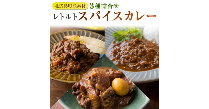 【ふるさと納税】レトルト カレー 北広島町産素材のスパイスカレー（3種詰め合わせ）