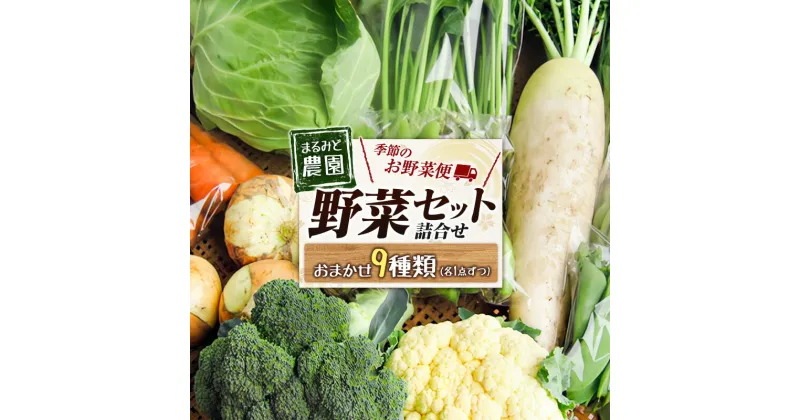 【ふるさと納税】野菜セット 詰め合わせ まるみど農園の季節のお野菜便 農薬使わずに育ててます 9種類 旬 農家直送 国産 送料無料