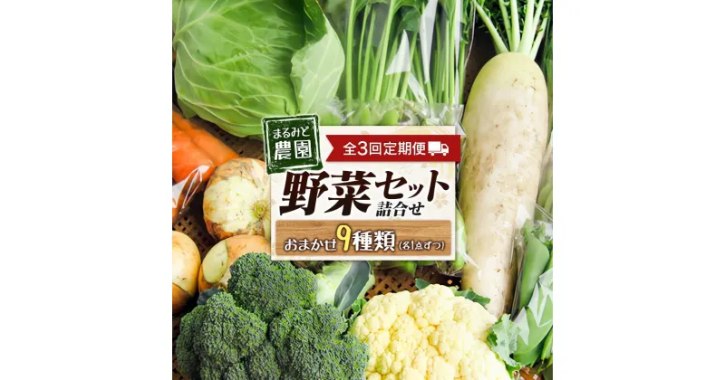 【ふるさと納税】『定期便』全3回 野菜セット 詰め合わせ まるみど農園の季節のお野菜便 隔月 9種類 旬 農家直送 国産 送料無料