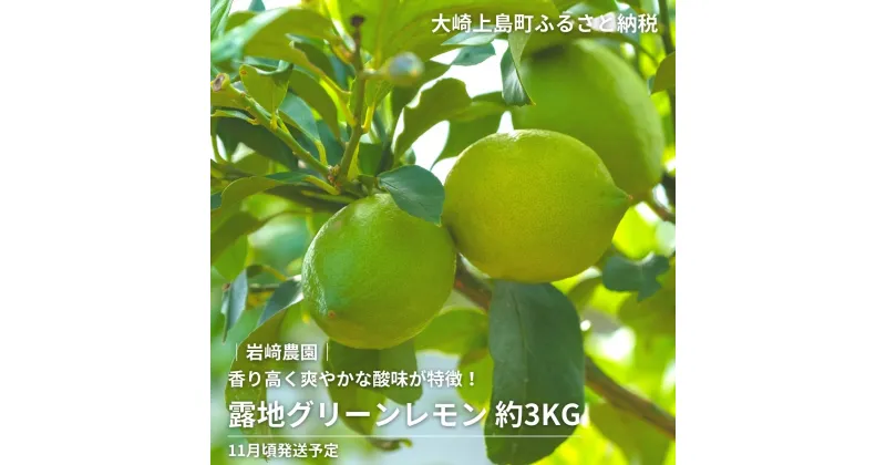 【ふるさと納税】11月頃発送予定 岩崎農園 露地グリーンレモン 約3kg 広島県 大崎上島町 瀬戸内 離島 国産 レモン 皮ごと 丸ごと 檸檬 送料無料