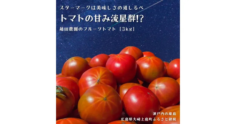【ふるさと納税】3~6月発送 越田農園 フルーツトマト 約3kg 広島県 大崎上島町 瀬戸内 離島 国産 甘い 高糖度 ギフト 送料無料 産地直送