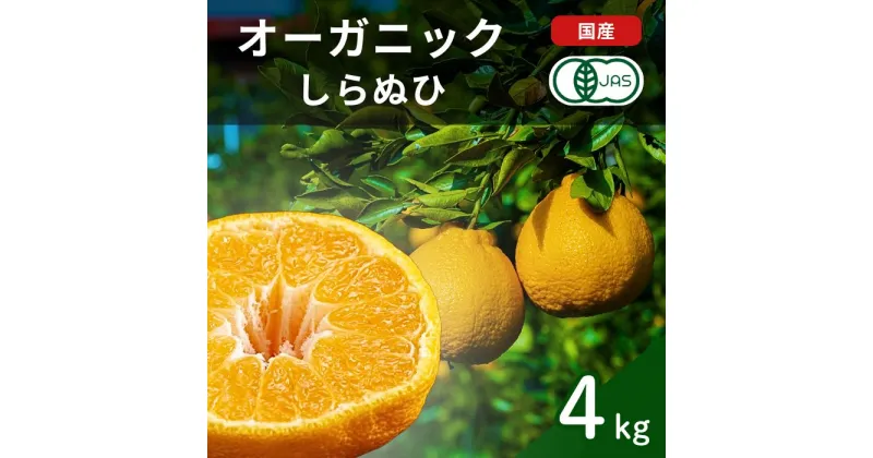 【ふるさと納税】国産 オーガニックしらぬひ 約4kg 不知火 瀬戸内 広島 大崎上島 離島 有機JAS認証 有機栽培 安心 安全 オーガニック フルーツ 柑橘 しらぬい デコポン 濃厚 果物 ギフト 2月発送 送料無料 産地直送 中原観光農園