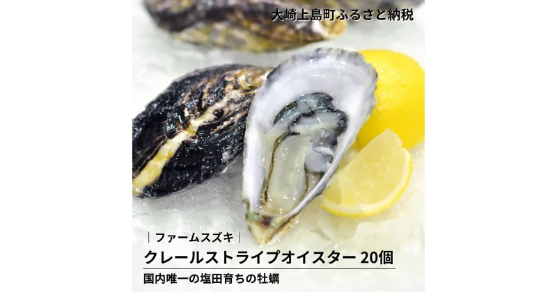 【ふるさと納税】11~5月発送予定 ファームスズキ 生食 クレールストライプオイスター 20個 牡蠣 塩田熟成 広島県 大崎上島町 瀬戸内 離島 国産 かき カキ ギフト 送料無料 産地直送