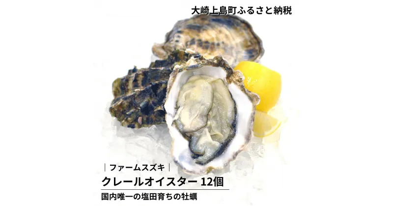 【ふるさと納税】11~5月発送予定 ファームスズキ 生食 クレールオイスター 12個 牡蠣 塩田熟成 広島県 大崎上島町 瀬戸内 離島 国産 かき カキ ギフト 送料無料 産地直送