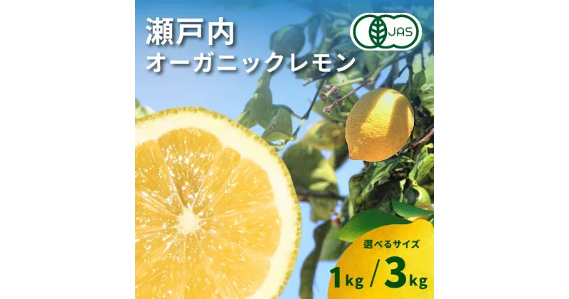 【ふるさと納税】瀬戸内オーガニックレモン 約1kg/約3kg 有機JAS ワックス不使用 防腐剤不使用 安心 安全 国産 広島 選べるサイズ 発送時期が選べる 大崎上島 広島レモン 瀬戸内レモン 有機レモン オーガニック 健康 生搾り レモンサワー 送料無料 産地直送 中原観光農園