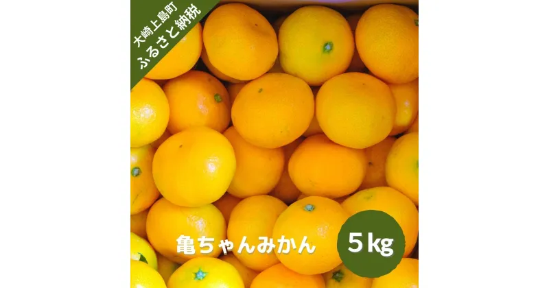 【ふるさと納税】11~2月発送予定 亀田農園 亀ちゃんみかん 約5kg 広島県 大崎上島町 瀬戸内 離島 国産 濃厚 柑橘 果物 フルーツ ギフト 送料無料 産地直送