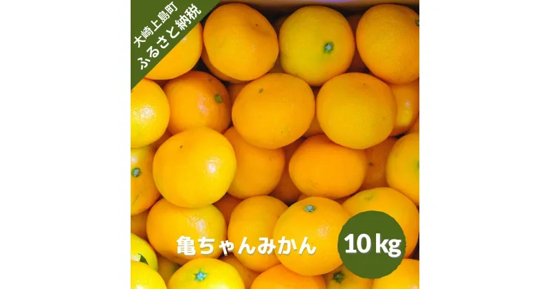 【ふるさと納税】11~2月発送予定 亀田農園 亀ちゃんみかん 約10kg 広島県 大崎上島町 瀬戸内 離島 国産 濃厚 柑橘 果物 フルーツ ギフト 送料無料 産地直送