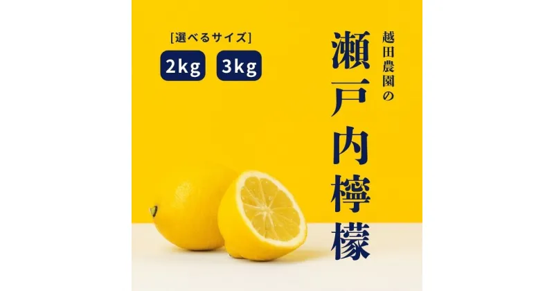 【ふるさと納税】越田農園 瀬戸内檸檬 約2kg 約3kg レモン ワックス防腐剤不使用 選べるサイズ 選べる発送時期 広島県 大崎上島町 瀬戸内 離島 国産 皮ごと 丸ごと 露地栽培 ギフト 送料無料 産地直送