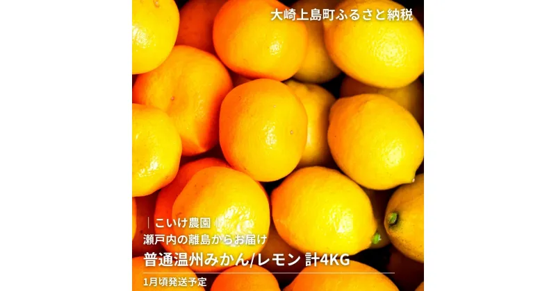 【ふるさと納税】1月頃発送予定 こいけ農園 普通温州みかん レモン 詰め合わせ 約4kg 広島県 大崎上島町 瀬戸内 離島 濃厚 完熟 果物 フルーツ 柑橘 みかん レモン 檸檬 送料無料 産地直送