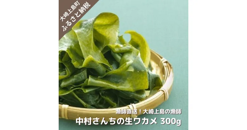 【ふるさと納税】1~2月発送予定 漁師 中村さんち 生ワカメ 600g シルキー 食感 広島県 大崎上島町 瀬戸内 離島 国産 海藻 わかめ ギフト 送料無料 産地直送