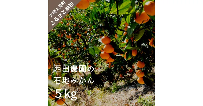 【ふるさと納税】12月頃発送予定 西田農園 石地みかん 約5kg 約50個前後 広島県 大崎上島町 瀬戸内 離島 国産 柑橘 ミカン みかん 甘い 送料無料 産地直送