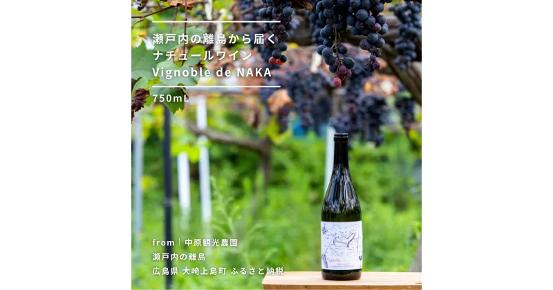 【ふるさと納税】Vignoble de NAKA ワイン 750mL 赤ワイン 大崎上島産ぶどう100%使用 有機マスカット・ベーリーA ナチュールワイン テロワール 広島県 大崎上島町 瀬戸内 離島 果物 フルーツ ぶどう ギフト 送料無料 産地直送 Vignoble de NAKA 2023 rouge MBA