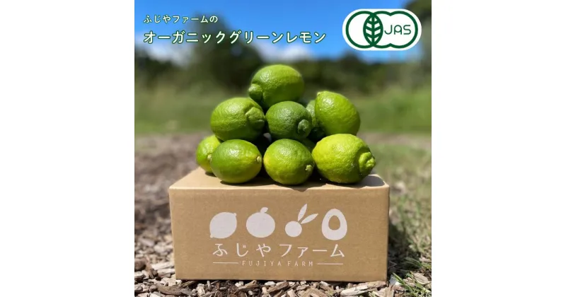 【ふるさと納税】広島産オーガニックグリーンレモン 約1kg/約2kg 有機JAS ワックス不使用 防腐剤不使用 安心 安全 国産 選べるサイズ 瀬戸内レモン 大崎上島 有機レモン オーガニック食品 送料無料 産地直送 ふじやファーム