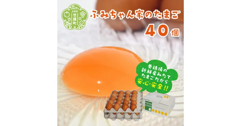 【ふるさと納税】ふみちゃん家のたまご 40個入 広島県 卵 タマゴ 玉子 新鮮 世羅 生みたて卵 卵かけごはん だし巻き スイーツ TKG A027-01