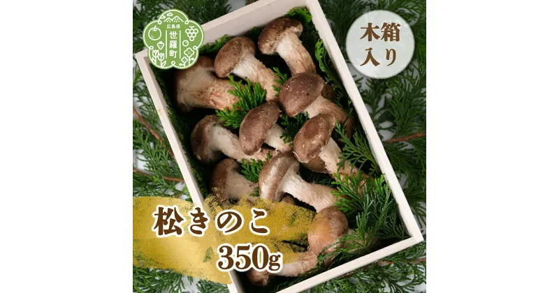 【ふるさと納税】松きのこ 350g(木箱入り) 贈答用 松茸そっくりの姿にほのかな香りとシャキシャキ食感 世羅 A003-02