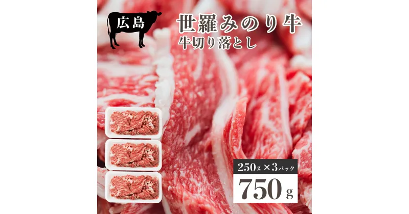 【ふるさと納税】広島県産「世羅みのり牛」切り落とし 合計750g(250g×3パック) 国産牛 牛肉 お肉 小分け スライス 肉じゃが 冷凍 送料無料 A038-01